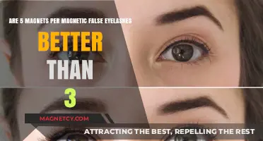 Enhancing Lash Magnetism: The Optimal Number of Magnets for False Eyelashes