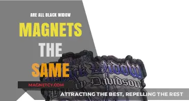Decoding Black Widow Magnets: Are They All Equal?