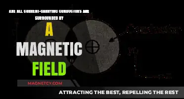 Exploring the Magnetic Fields Around Current-Carrying Conductors