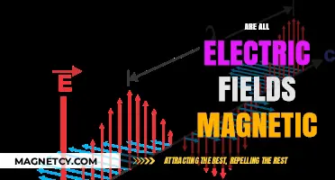Exploring the Intricacies: Are All Electric Fields Magnetic?