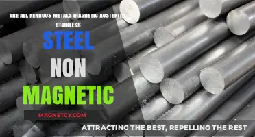 Exploring Magnetism: Not All Ferrous Metals Are Magnetic - Austenitic Stainless Steel Explained