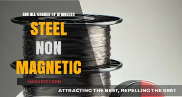 Exploring the Magnetic Properties of Various Stainless Steel Grades