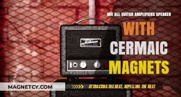 Exploring Guitar Amplifiers: Do They All Use Ceramic Magnets?