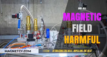 Exploring the Safety of Magnetic Fields: Are They All Harmful?