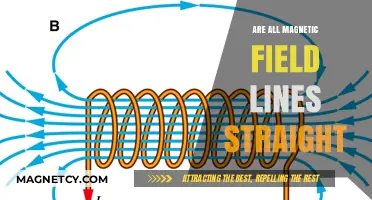Exploring the Nature of Magnetic Field Lines: Are They Always Straight?