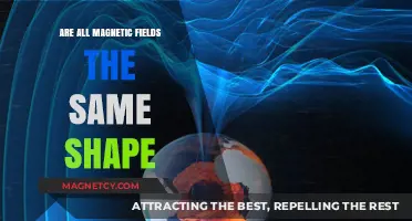 Exploring the Diversity of Magnetic Field Shapes