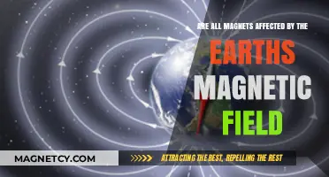 Exploring Magnetism: Earth's Field and Its Impact on All Magnets