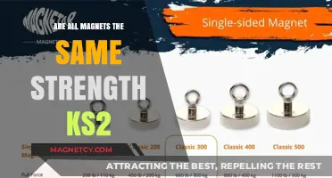 Exploring Magnet Strength: Are All Magnets Equal?