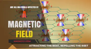 Exploring Magnetism: Do All Materials Respond to a Magnetic Field?