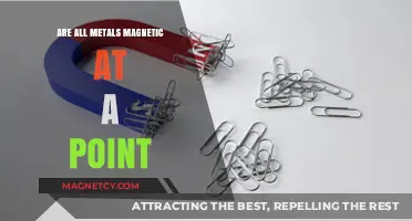 Exploring Magnetism: Not All Metals Are Magnetic at Any Point