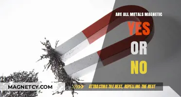 Unveiling the Mystery: Are All Metals Magnetic?