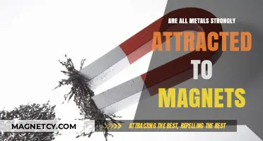 Do All Metals Stick to Magnets? Unraveling Magnetic Attraction Myths