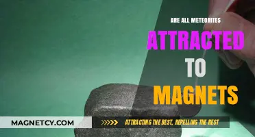 Do All Meteorites Stick to Magnets? Unraveling the Magnetic Mystery