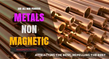 Exploring the Magnetic Properties of Non-Ferrous Metals