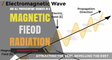 Exploring the Nature of Magnetic Field Radiation and Its Propagation