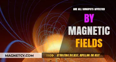 Exploring the Magnetic Influence on Sunspots: A Comprehensive Analysis