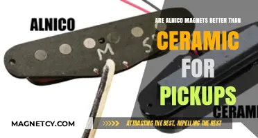 Exploring the Sonic Superiority: Alnico vs Ceramic Pickups