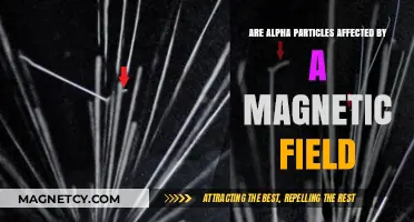 Exploring the Influence of Magnetic Fields on Alpha Particles