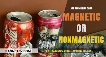 Are Aluminum Cans Magnetic? Unveiling the Truth Behind Metal Properties