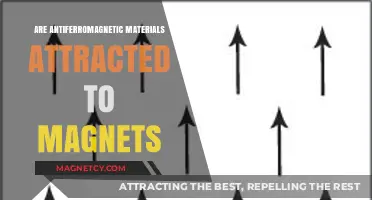 Do Antiferromagnetic Materials Respond to Magnetic Attraction?