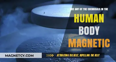 Exploring the Magnetic Nature of Human Body Chemicals