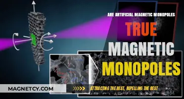 Exploring the Enigma: Are Artificial Magnetic Monopoles the Real Deal?