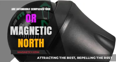 Navigating the Truth: Automobile Compasses and Magnetic North