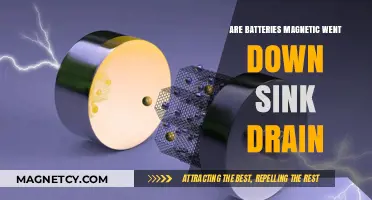 Exploring the Magnetic Mystery of Batteries Down the Drain