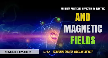 Exploring the Influence of Electric and Magnetic Fields on Beta Particles