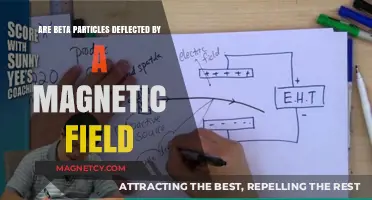 Exploring the Interaction: Beta Particles and Magnetic Fields