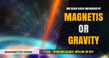 Unraveling the Cosmic Tug-of-War: Magnetism vs. Gravity in Black Holes