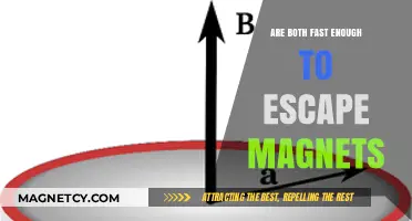 Racing Against Magnetic Forces: Can Speed Outpace Attraction?