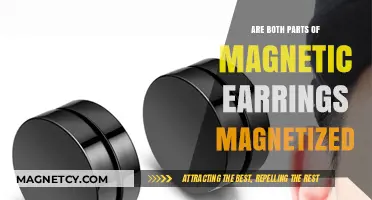 Exploring Magnetic Earrings: Are Both Parts Magnetized?