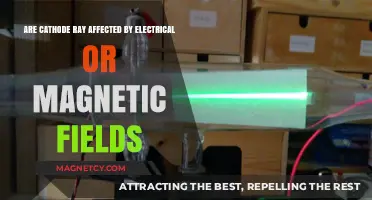 Exploring the Influence of Electrical and Magnetic Fields on Cathode Rays