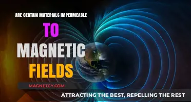 Exploring the Mysteries of Magnetic Field Impermeability in Materials
