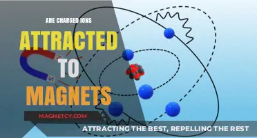 Do Charged Ions Respond to Magnetic Fields? Exploring the Science