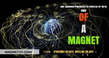 Do Magnets Attract Charged Particles at Both Poles?