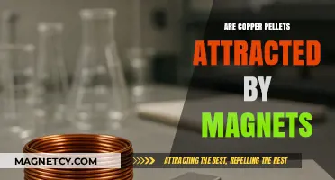 Do Magnets Attract Copper Pellets? Unveiling the Magnetic Mystery