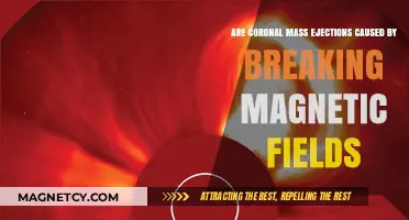 Unraveling the Mystery: Coronal Mass Ejections and Magnetic Fields