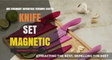 Exploring the Magnetic Properties of Cuisinart Advantage Ceramic Knife Sets
