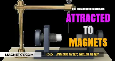 Do Diamagnetic Materials Attract Magnets? Unraveling Magnetic Mysteries