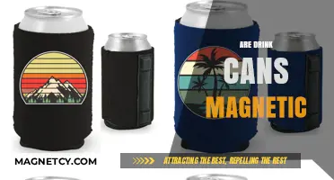Are Drink Cans Magnetic? Unveiling the Truth Behind Metal Packaging
