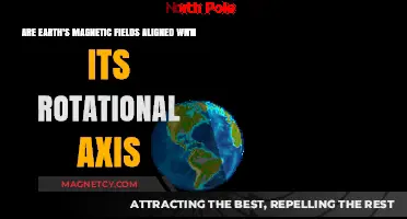 Exploring Earth's Magnetic Alignment: A Deep Dive into Geophysics