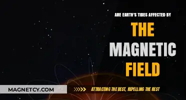 Exploring the Connection: Earth's Tides and Magnetic Fields