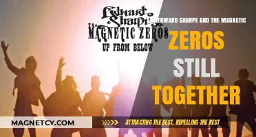 Harmony in Flux: The Current Status of Edward Sharpe and the Magnetic Zeros