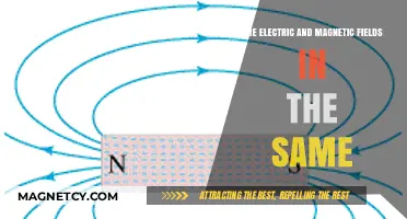 Exploring the Intricacies: Are Electric and Magnetic Fields Interconnected?