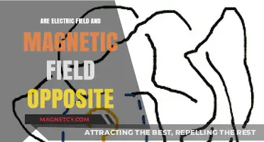 Exploring the Dual Nature: Electric and Magnetic Fields