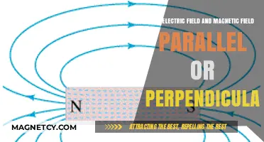 Exploring the Relationship Between Electric and Magnetic Fields