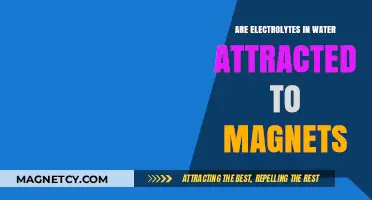 Do Magnets Attract Electrolytes in Water? Unraveling the Science