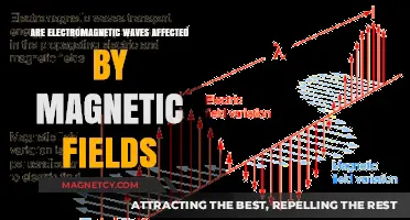 Exploring the Interaction: Do Magnetic Fields Influence Electromagnetic Waves?
